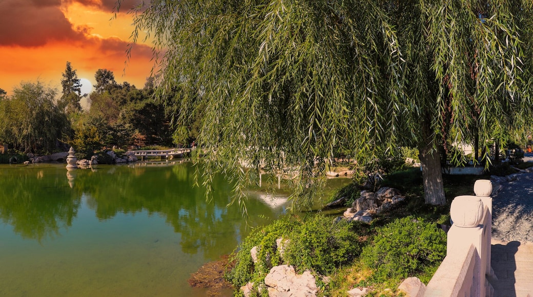 a stunning panoramic shot of a Japanese garden with deep green lake water and lush green trees reflecting off the lake with weeping willow trees powerful clouds at Huntington Library in San Marino