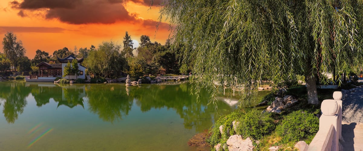 a stunning panoramic shot of a Japanese garden with deep green lake water and lush green trees reflecting off the lake with weeping willow trees powerful clouds at Huntington Library in San Marino