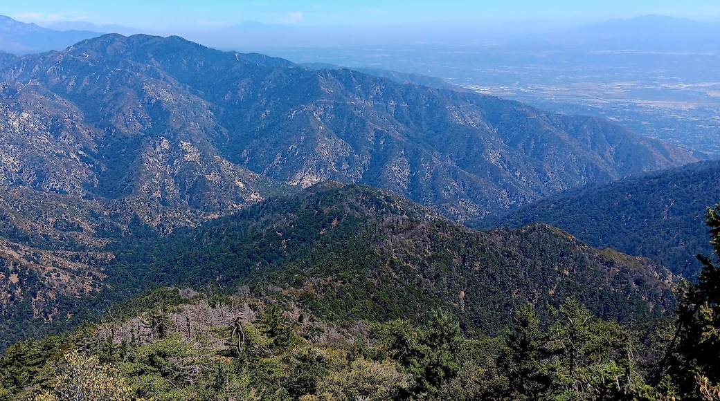 San Gabriel