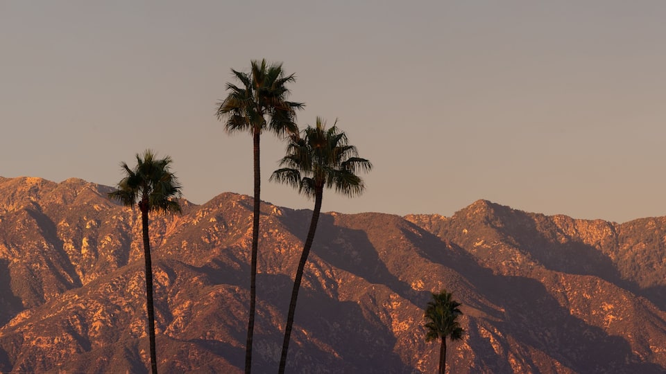 A mountain range with palm trees and a tall structure in the distance.