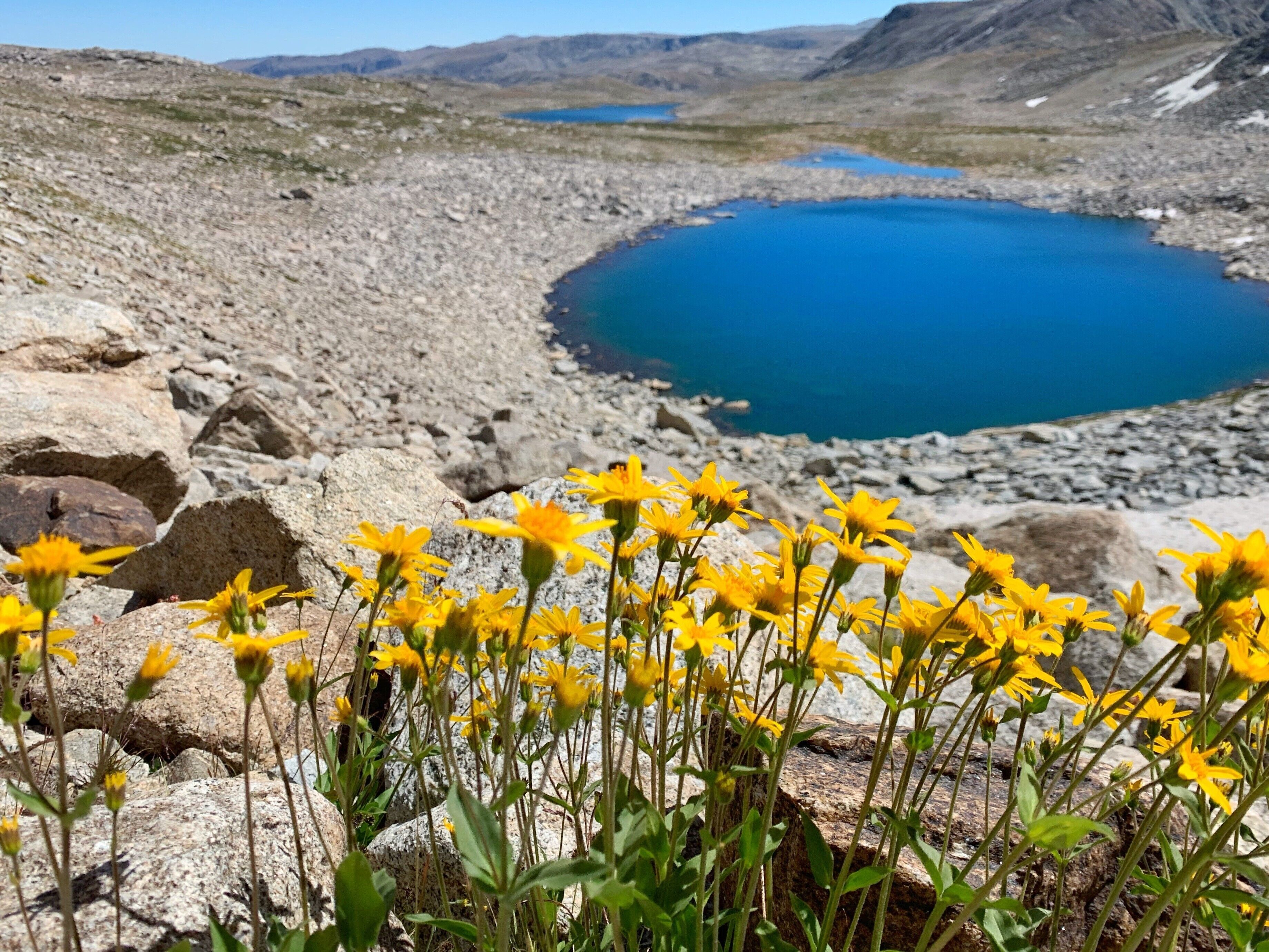 This was from a 55-mile backpacking trip in the Wind Rivers of Wyoming. The Wind Rivers is one of those places that you see in photos and wonder how it can be real, and then you see it in person and it is just as spectacular.

#LifeAtExpediaGroup