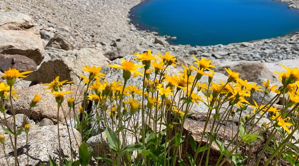 This was from a 55-mile backpacking trip in the Wind Rivers of Wyoming. The Wind Rivers is one of those places that you see in photos and wonder how it can be real, and then you see it in person and it is just as spectacular.
#LifeAtExpediaGroup