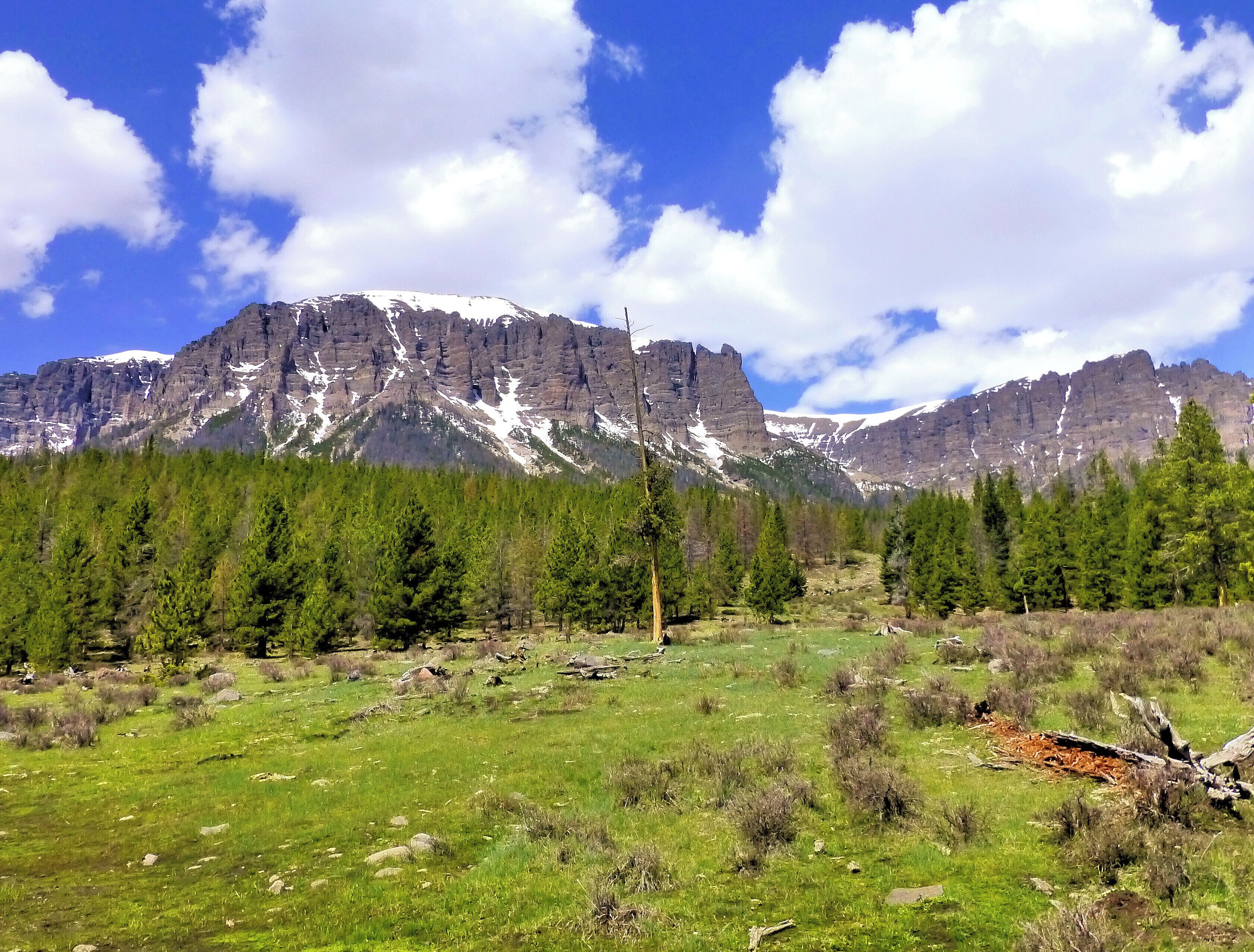 Mountain scenery. This is by Double Cabin Campground in the Absaroka mountains