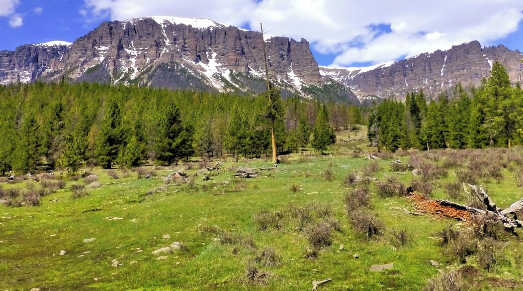 Mountain scenery. This is by Double Cabin Campground in the Absaroka mountains