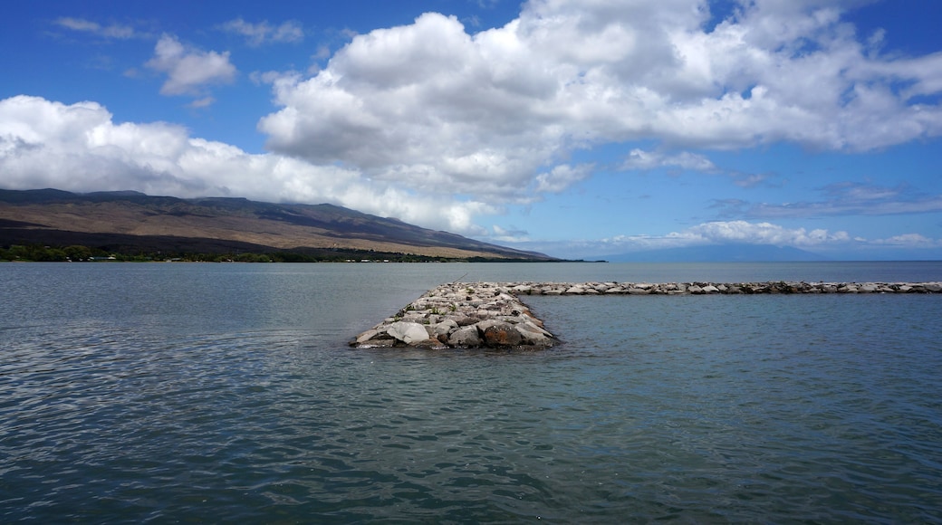 Jetty in the water at Kaunakakai Ferry Terminal