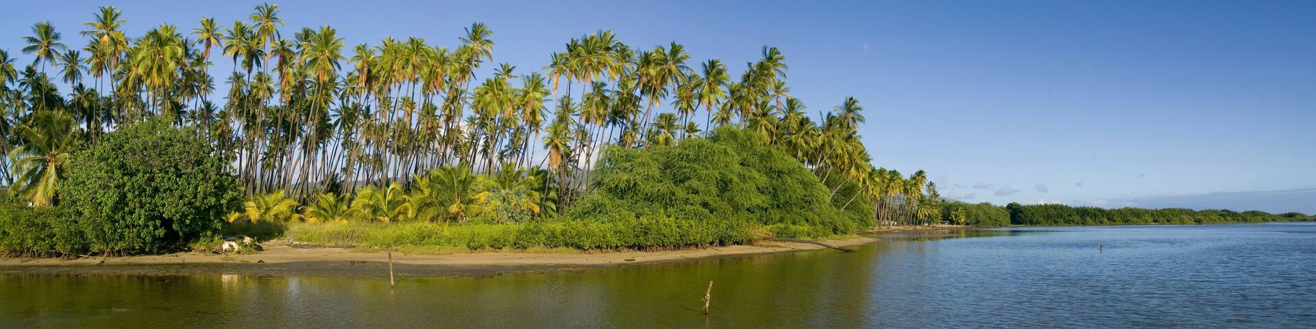 A view from the water of Kiowea Park and the Kapuaiwa Coconut Grove, Molokai, Hawaii.