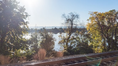 Train tracks and water river lake in Virginia with morning sun, reflection, plants in autumn