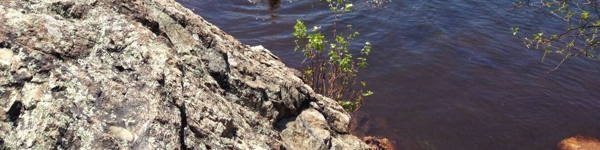 A dog swimming in a lake surrounded by rocky shores and trees.