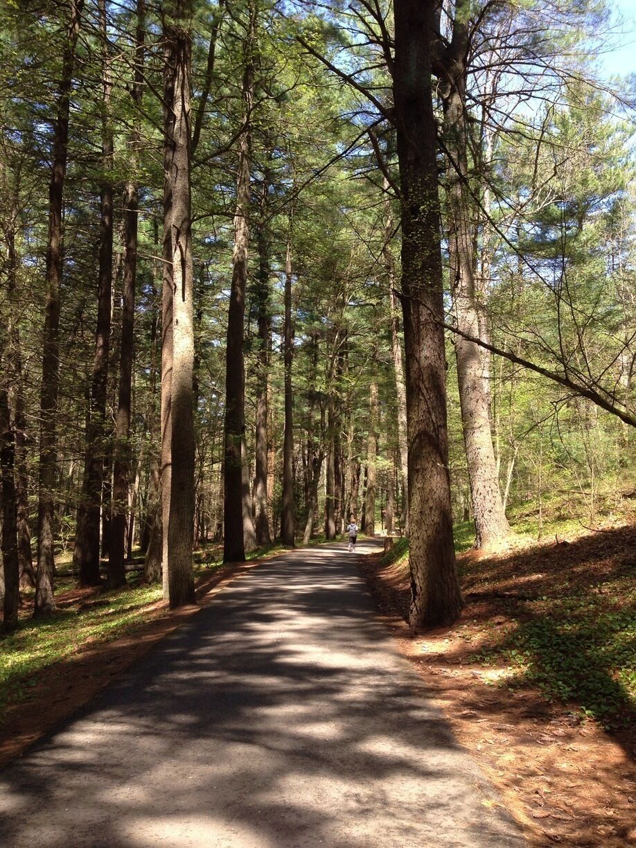Breakheart is a great place for a run. Paved paths from a figure eight through the reservation, so you would have a tough time getting lost and you can get about three miles in a single loop. Some hills too!