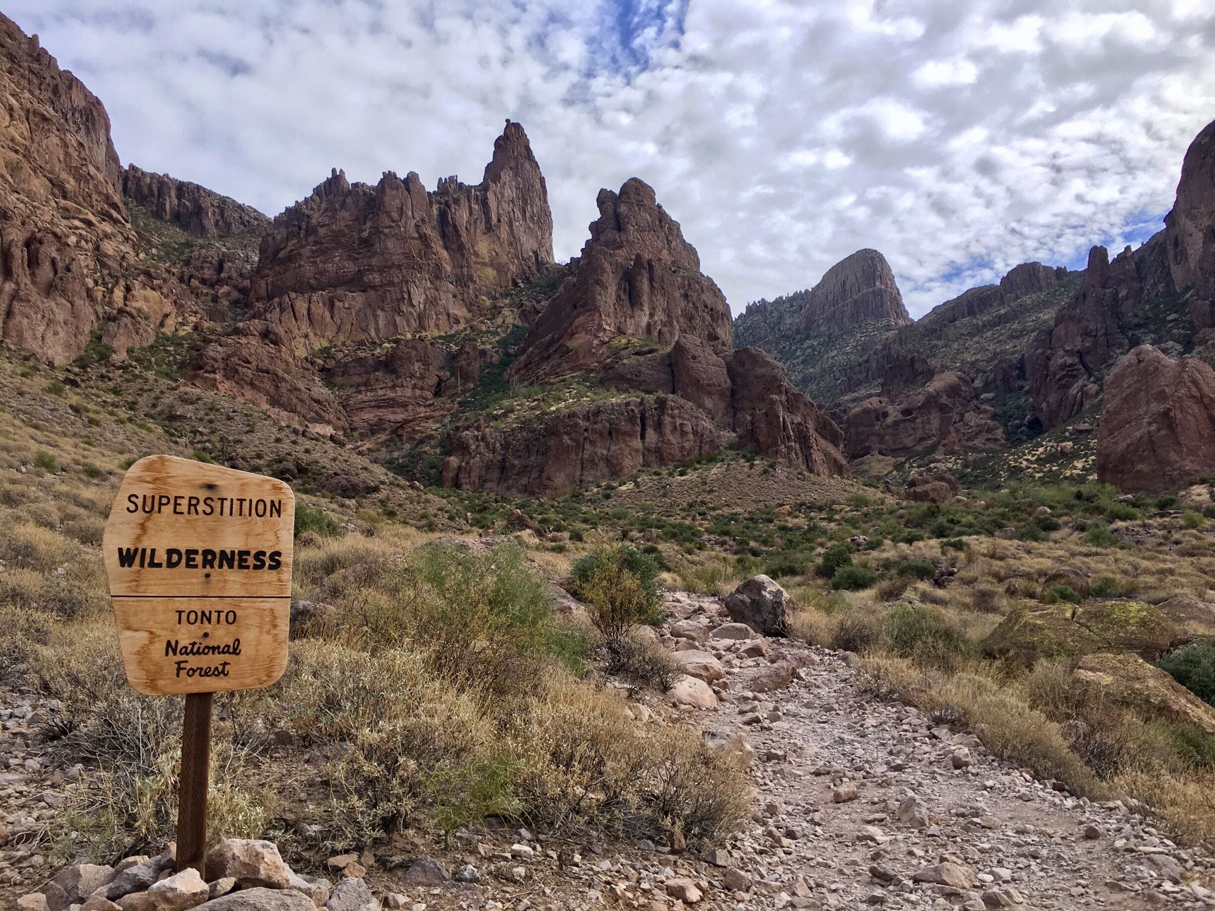 A wooden sign in a desert landscape with rocky mountains in the background.
