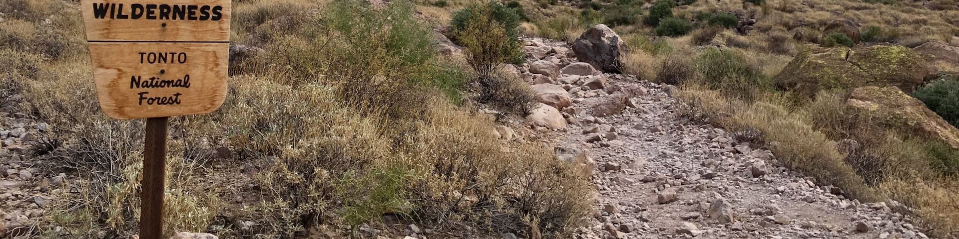A wooden sign in a desert landscape with rocky mountains in the background.