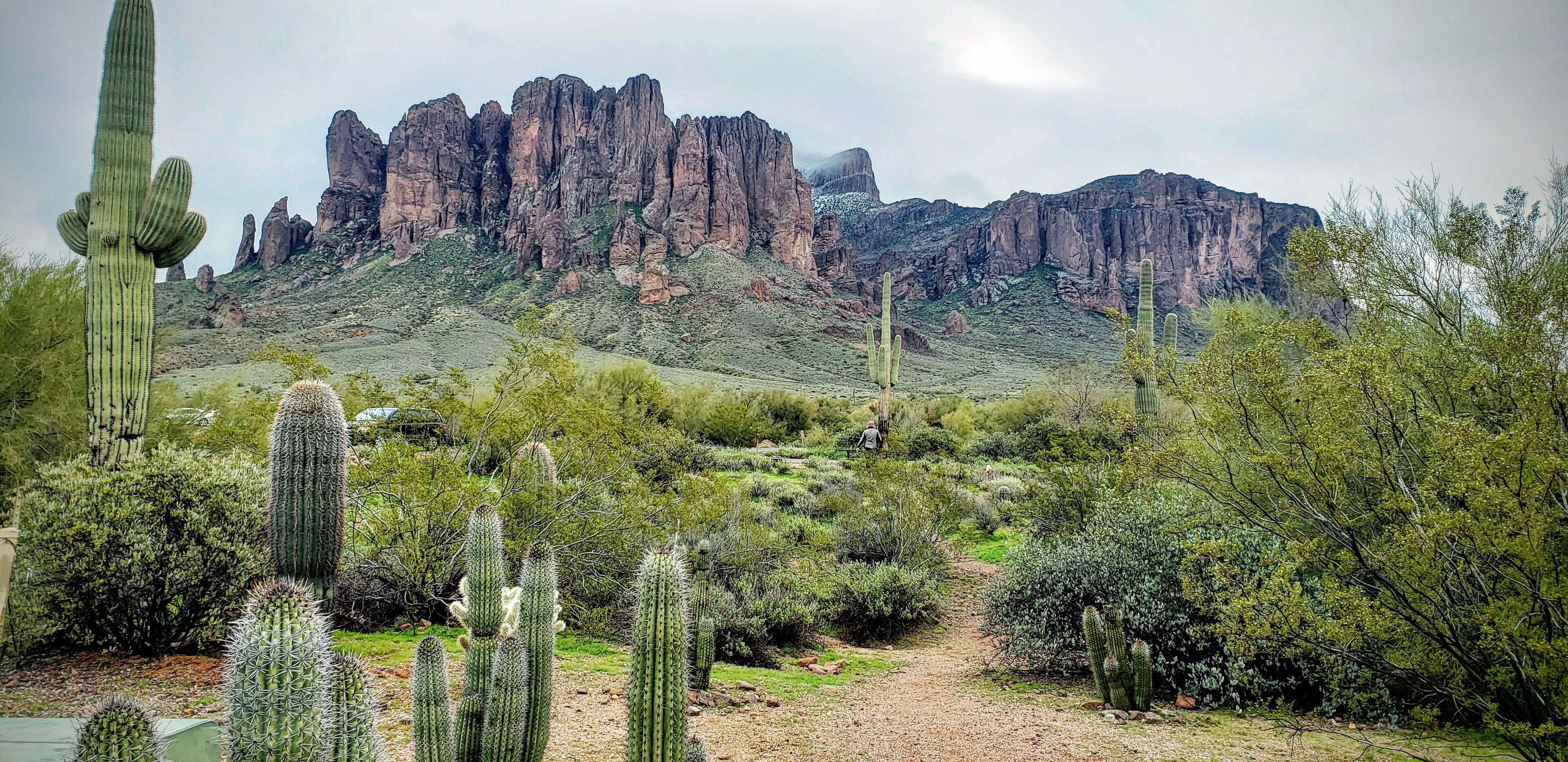 Flatiron trailhead in Lost Dutchman State Park, Az. A very grueling hike (for a novice like me). But the views are worth it! About 5.5 miles to the peak and back and a 2,750 ft elevation gain.