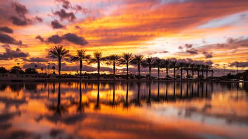 Photograph of Mesa Riverview Park at sunset in Arizona