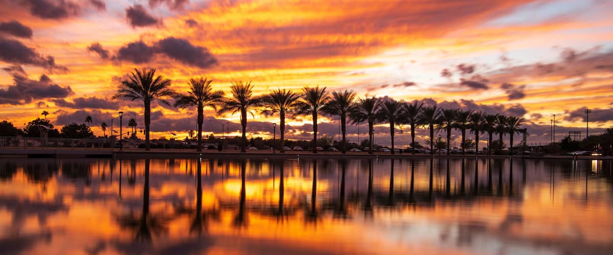 A sunset over a calm body of water with palm trees reflecting the sky.