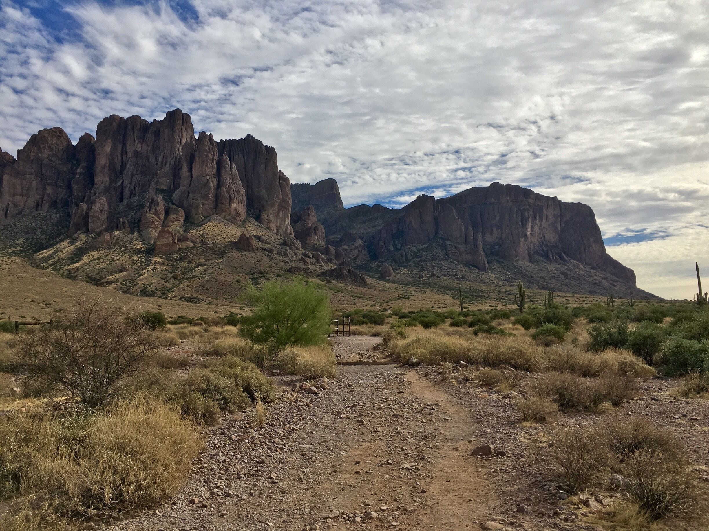 Beautiful hike. Well worth the effort! 🌵☀️🙌🏼