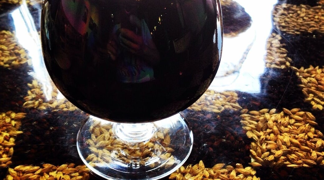 Small brewery that got its start from a Kickstarter campaign. Brewery usually has about 4-6 beers on tap and changes them fairly frequently depending on the season. Something for everyone here. Opens at 3PM and closes at 10PM most days.