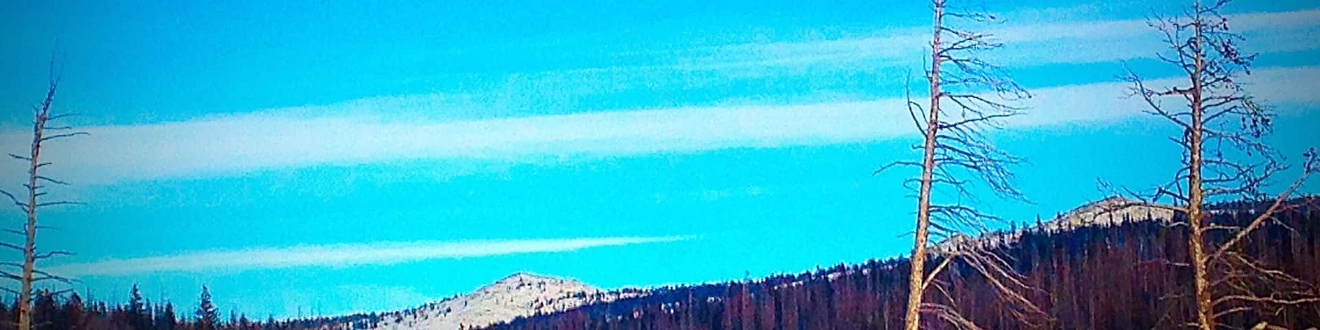 Snowy Pass in Medicine Bow National Forest