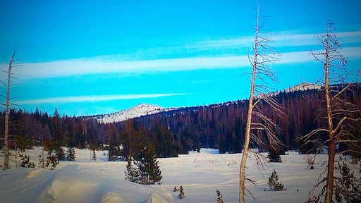 Snowy Pass in Medicine Bow National Forest