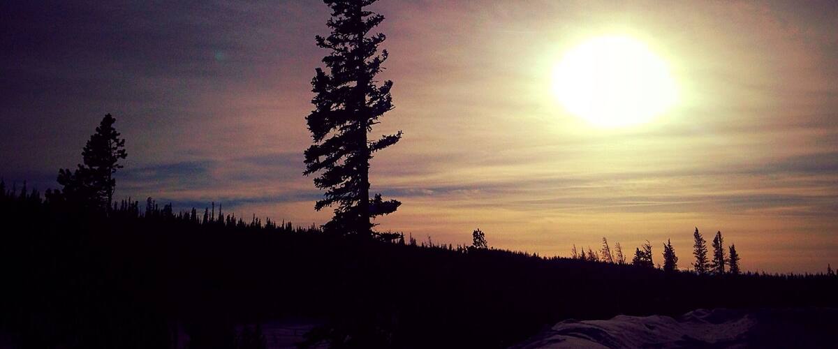 Sunset in Medicine Bow National Forest 
#goldenhour