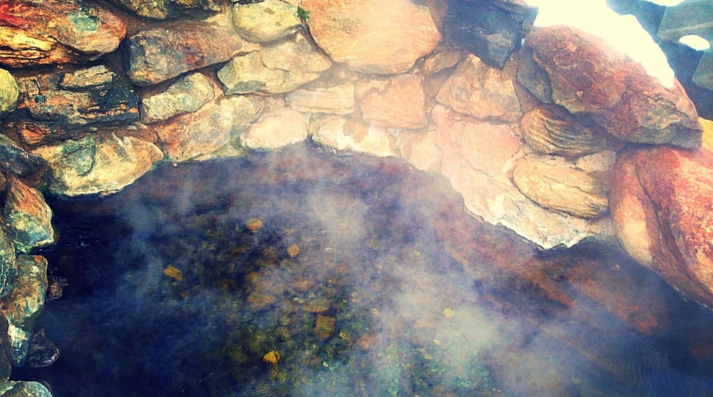 Hobo Hot Pool in Saratoga, Wyoming