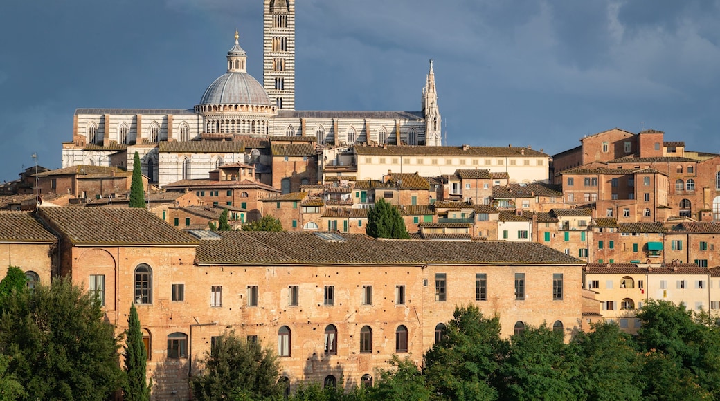 Siena featuring a city, landscape views and heritage architecture