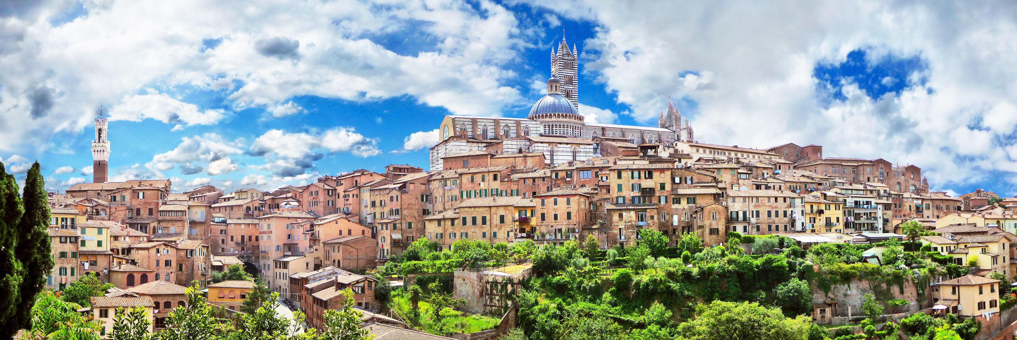 Panoramic view of the medieval city of Siena, Tuscany, Italy