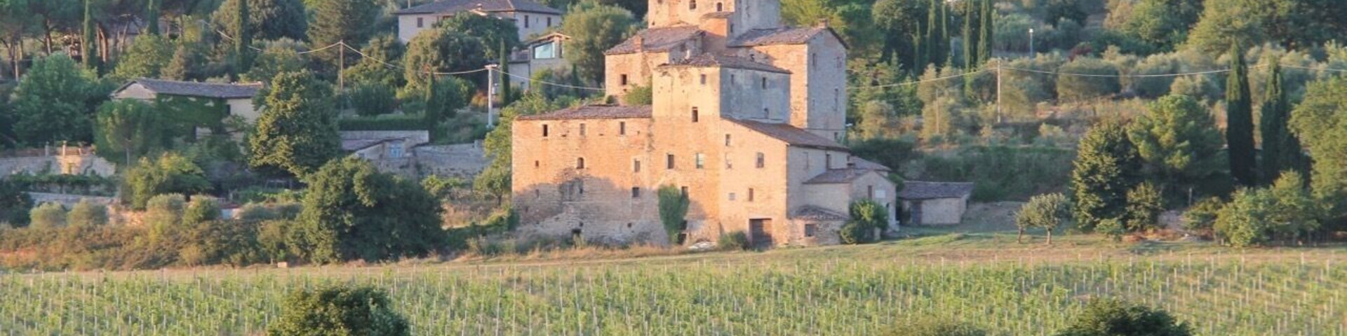 Tuscany countryside, around Sienna is magical, even more when sunset is coming. The lights of the summer evening are warm and marvelous