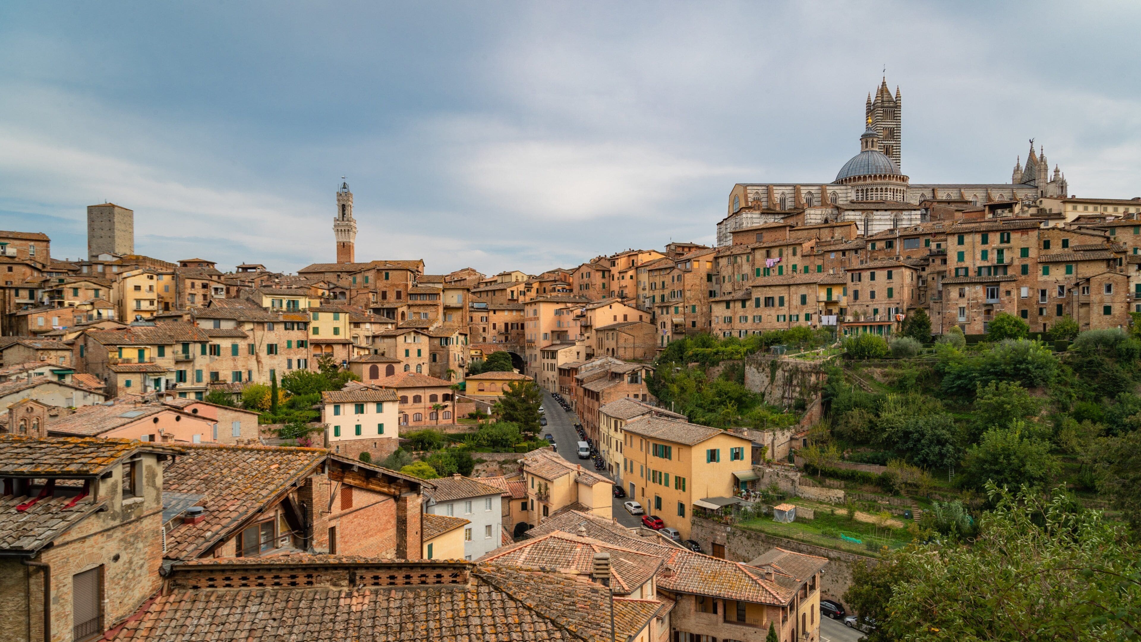 Siena showing a city and landscape views