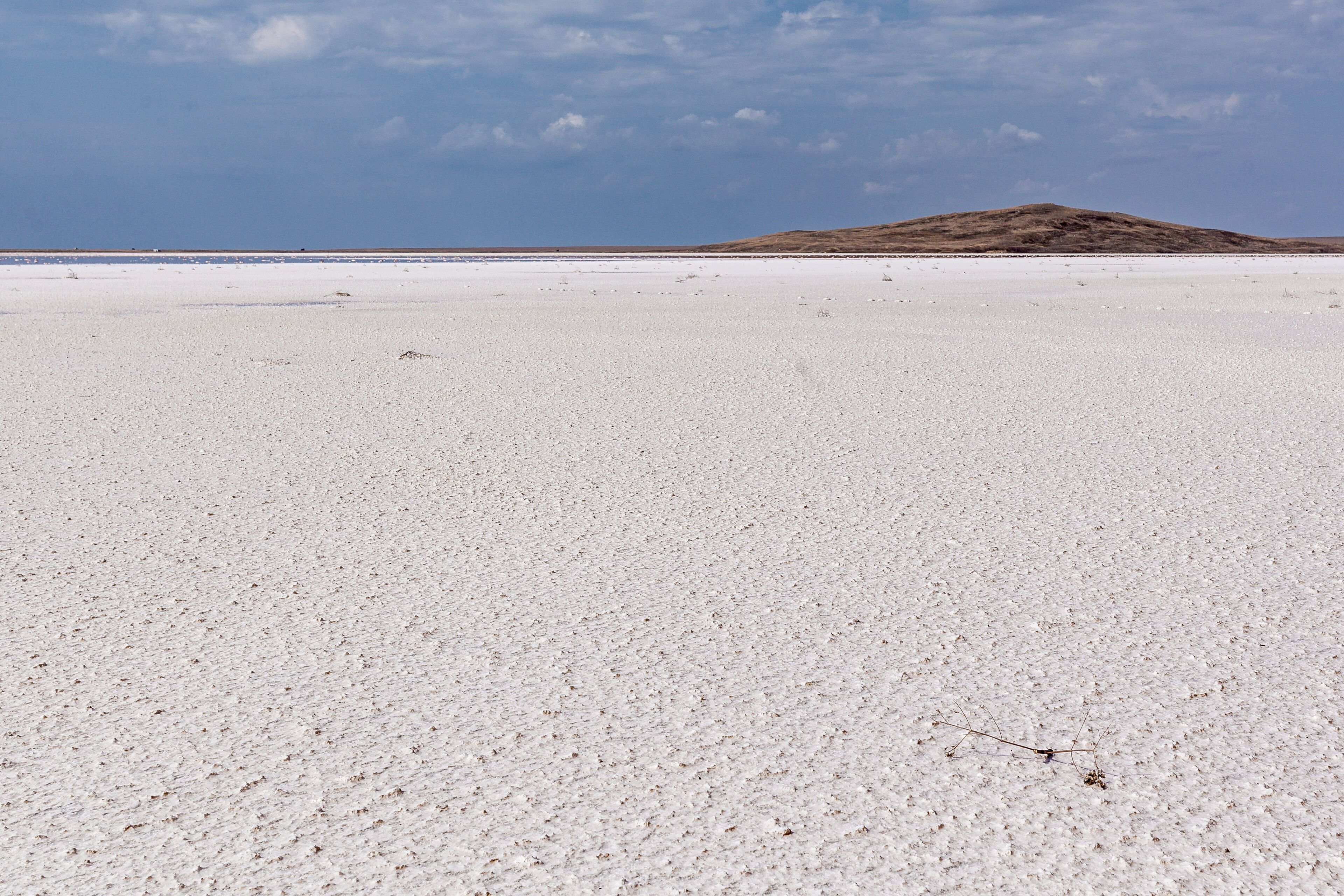 Landscape of a deserted salt lake. The texture of salt formations in the foreground
