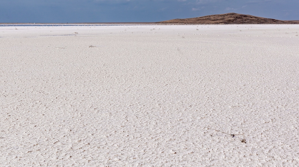 Landscape of a deserted salt lake. The texture of salt formations in the foreground