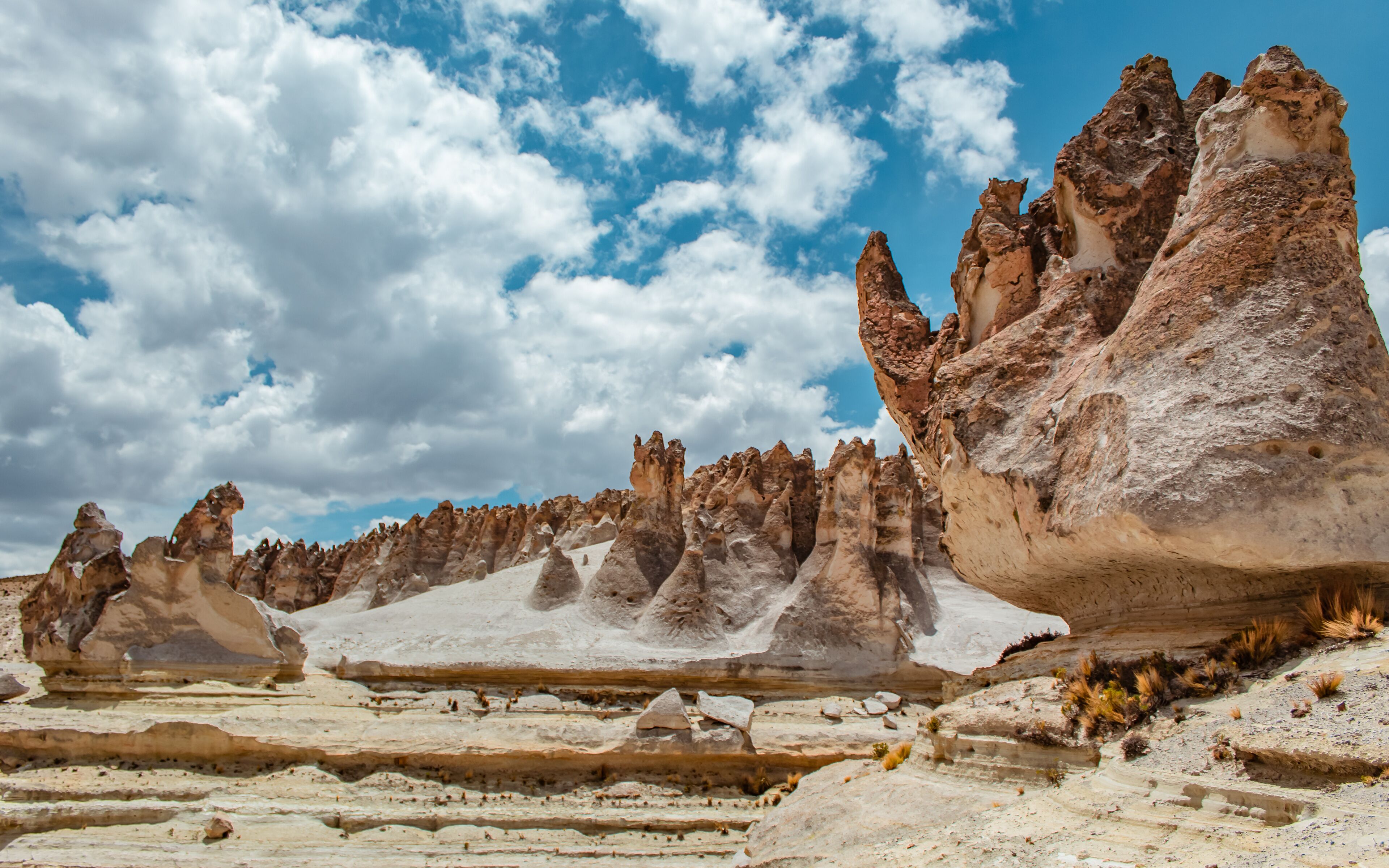 Bosque de piedras Puruña, dentro de la reserva nacional Salinas y Aguada Blanca.