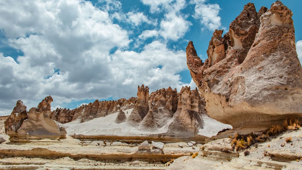 Bosque de piedras Puruña, dentro de la reserva nacional Salinas y Aguada Blanca.
