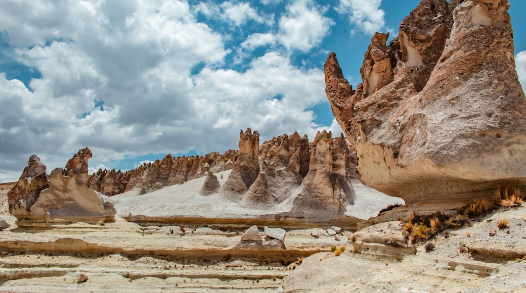 Bosque de piedras Puruña, dentro de la reserva nacional Salinas y Aguada Blanca.