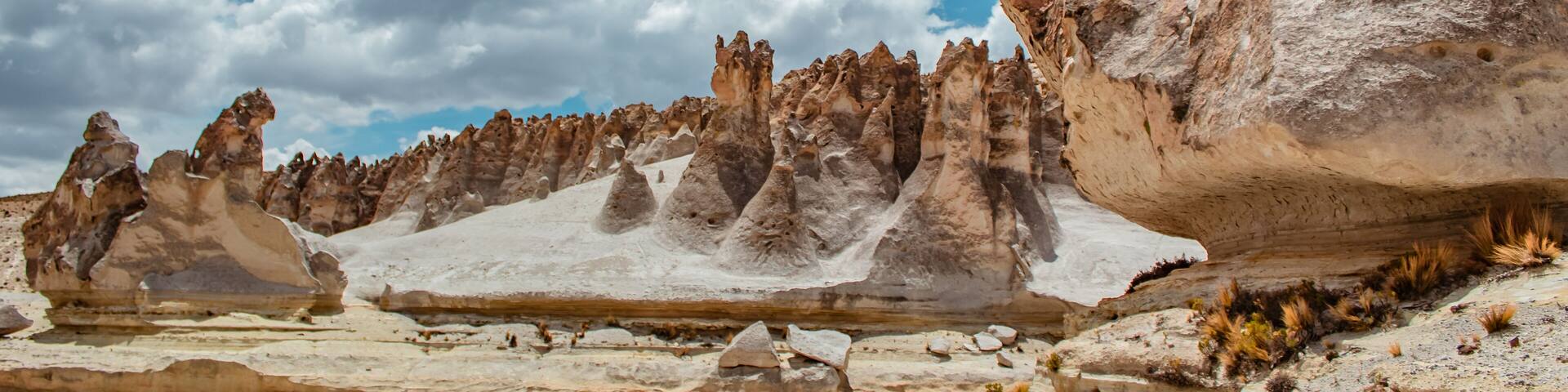 Bosque de piedras Puruña, dentro de la reserva nacional Salinas y Aguada Blanca.