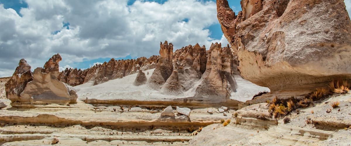 Bosque de piedras Puruña, dentro de la reserva nacional Salinas y Aguada Blanca.