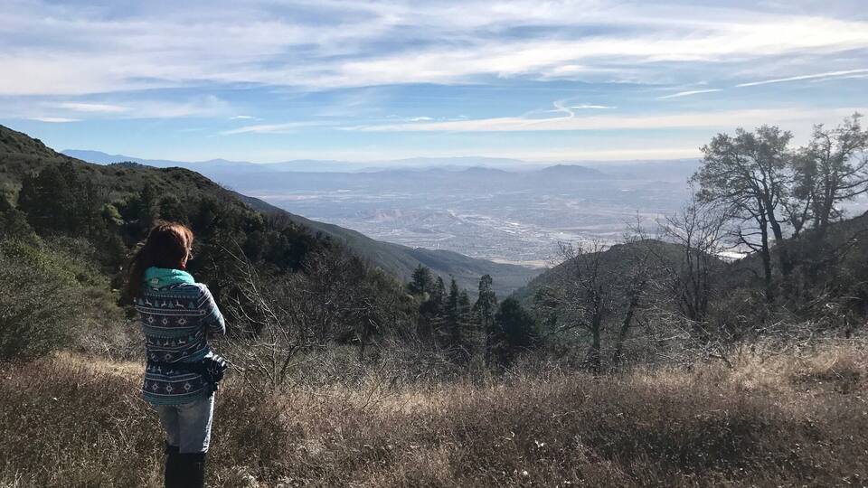 @ San Bernadino forest ..