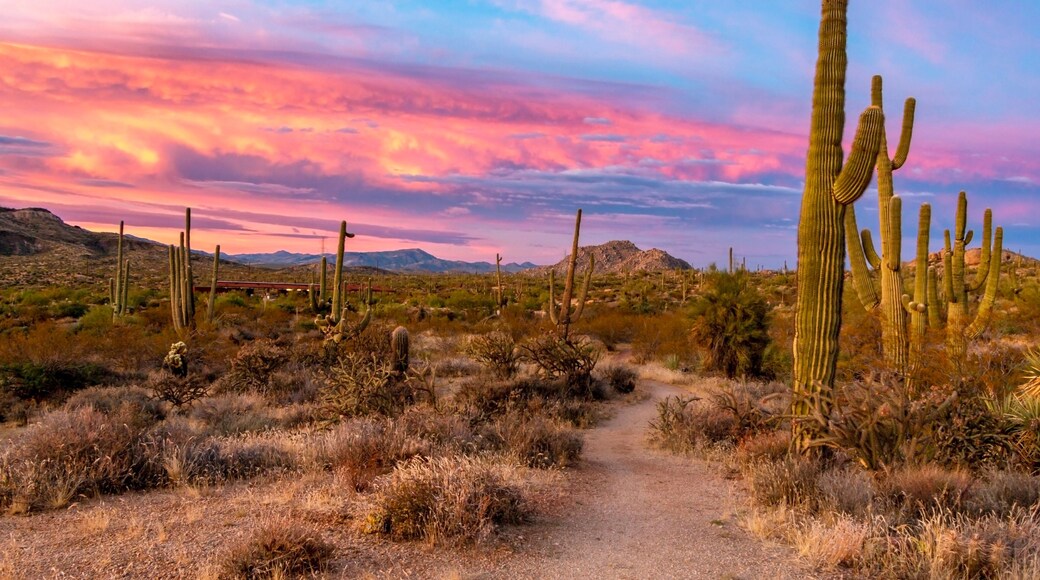 Vibrant Sunset At Browns Ranch In Scottsdale AZ
