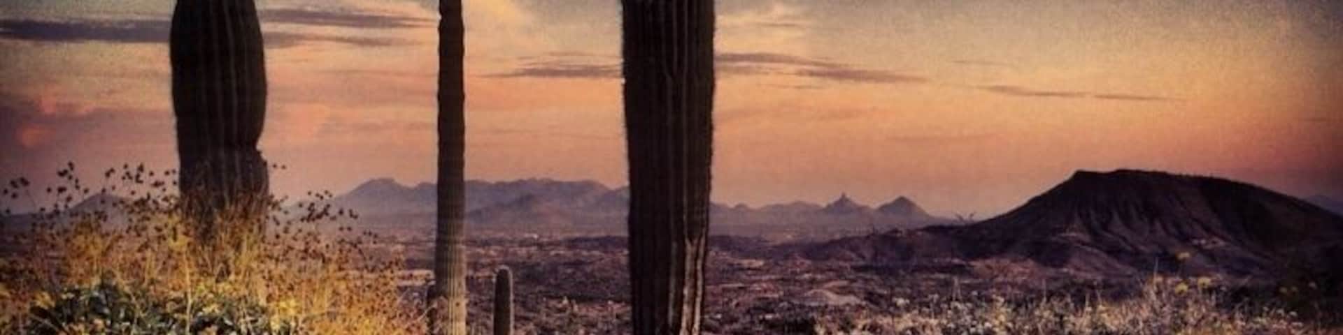 Desert Sunset