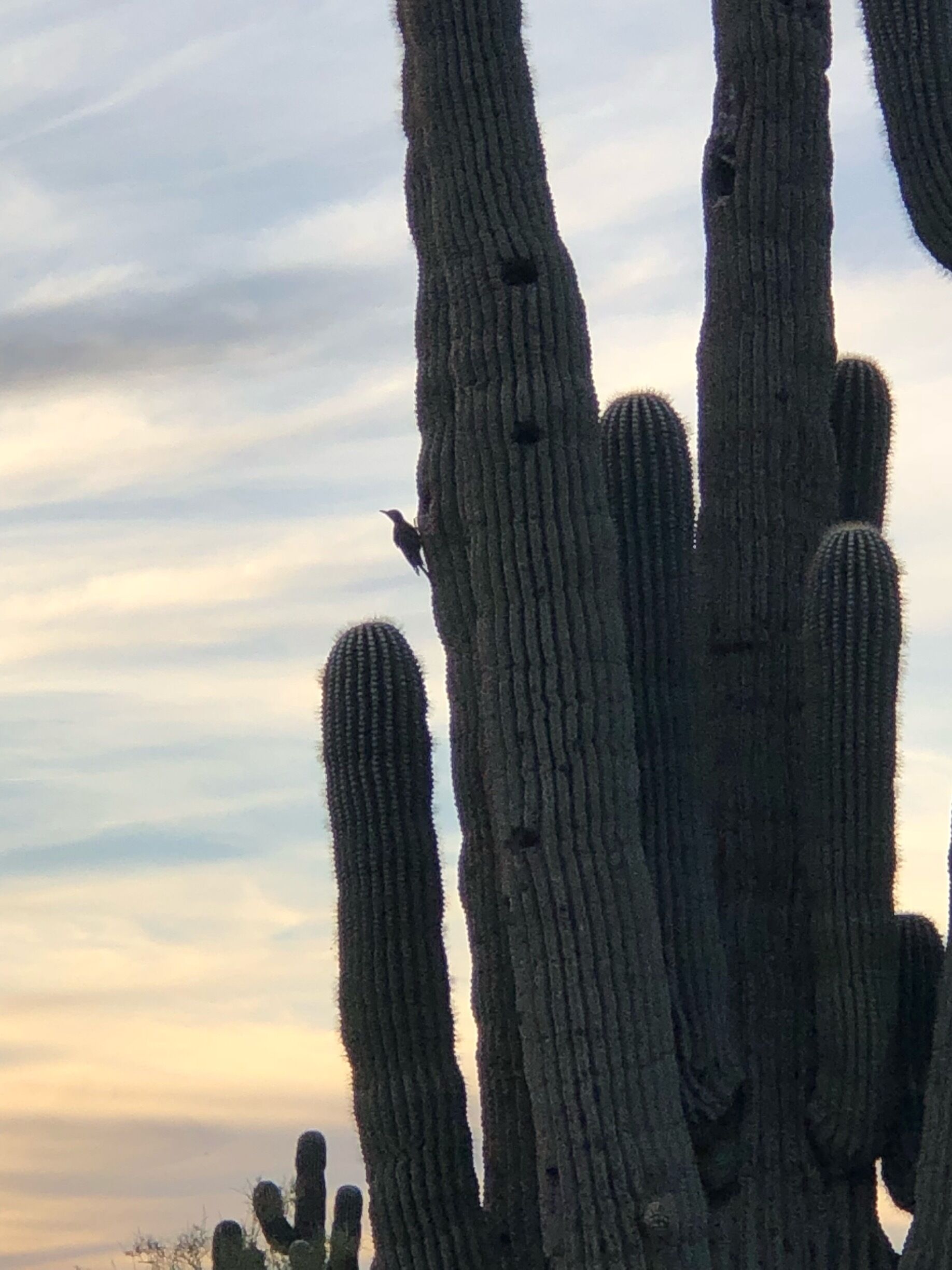 Sunset at the trailhead