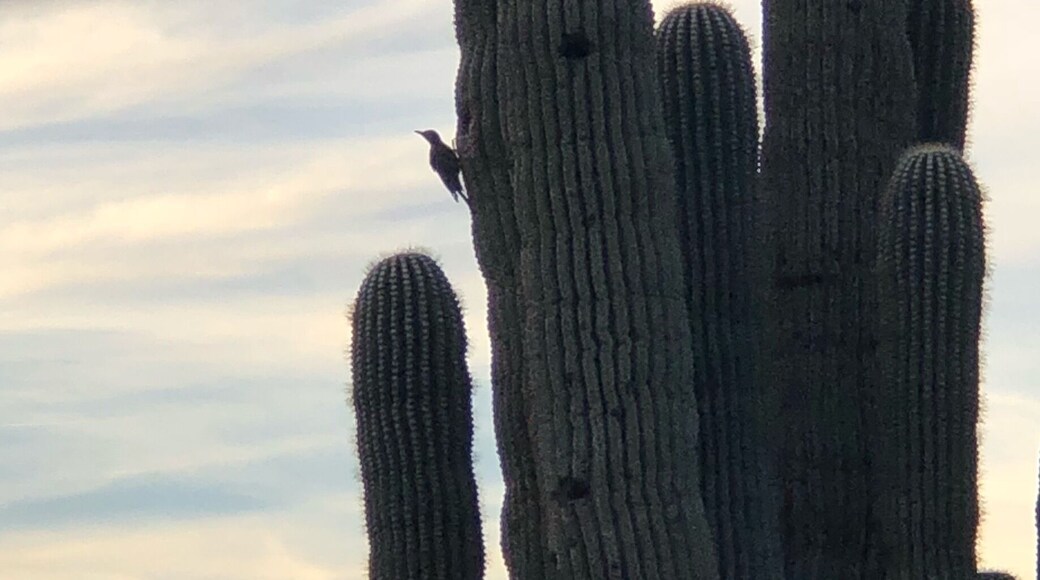 Sunset at the trailhead