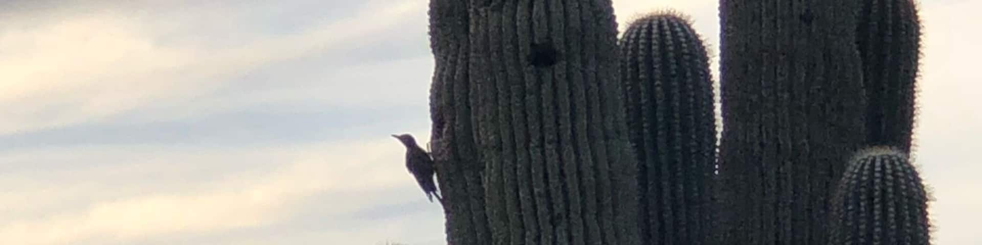 Sunset at the trailhead