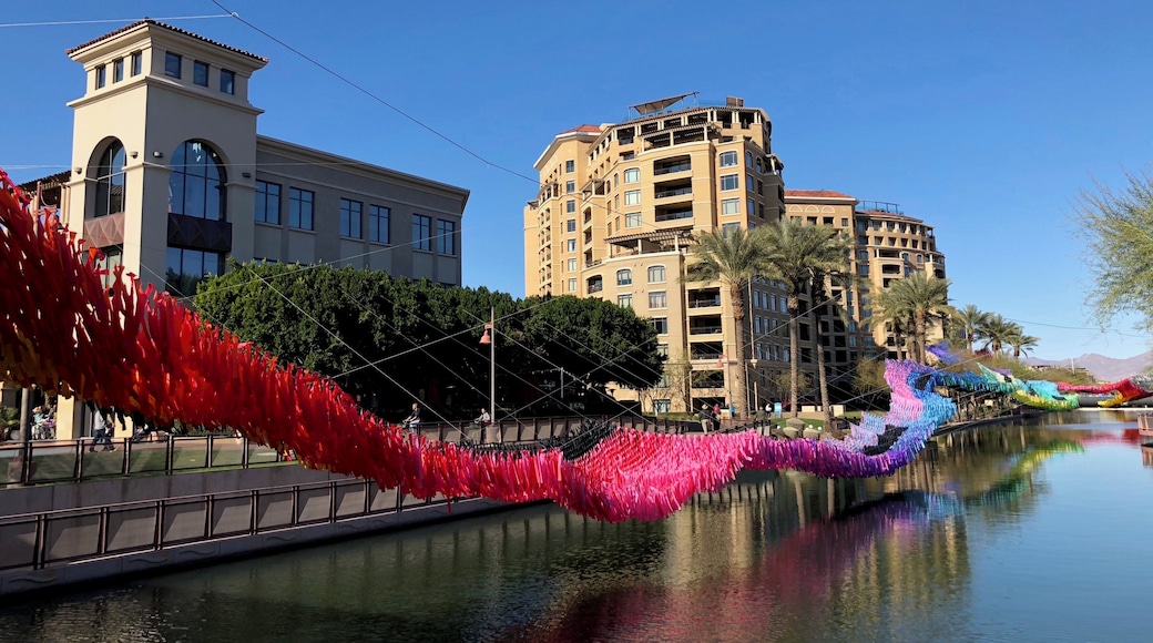 Made from over 50,000 colourful and metallic streamers attached to monofilament. Public exhibit at the waterfront in Scottsdale.
#LikeALocal