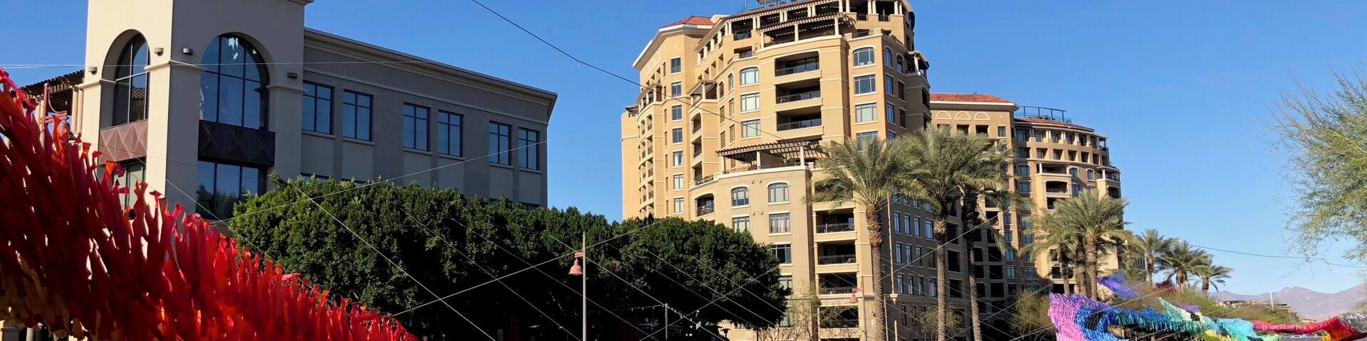 Made from over 50,000 colourful and metallic streamers attached to monofilament. Public exhibit at the waterfront in Scottsdale.
#LikeALocal