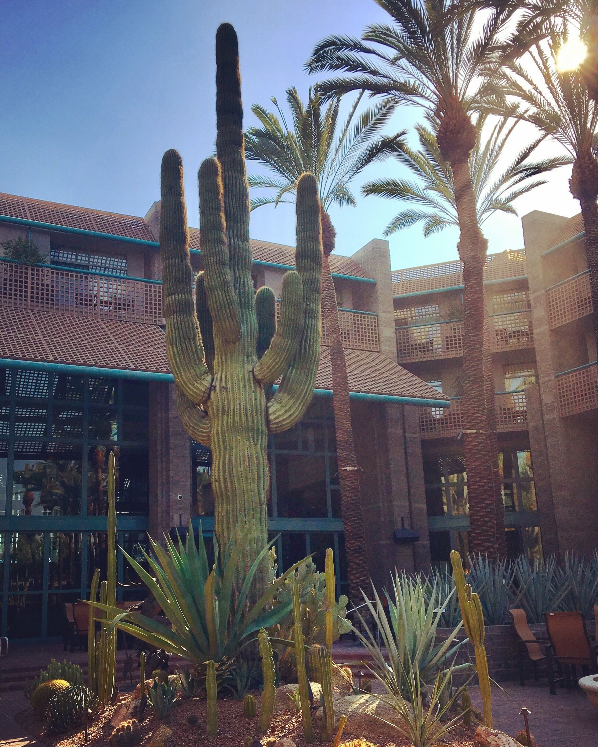 Beautiful resort with pools for adults only and pools if you have children, lots of activities for everyone. Fun nightlife nearby and many restaurants to choose from. Stop and enjoy the cactus.