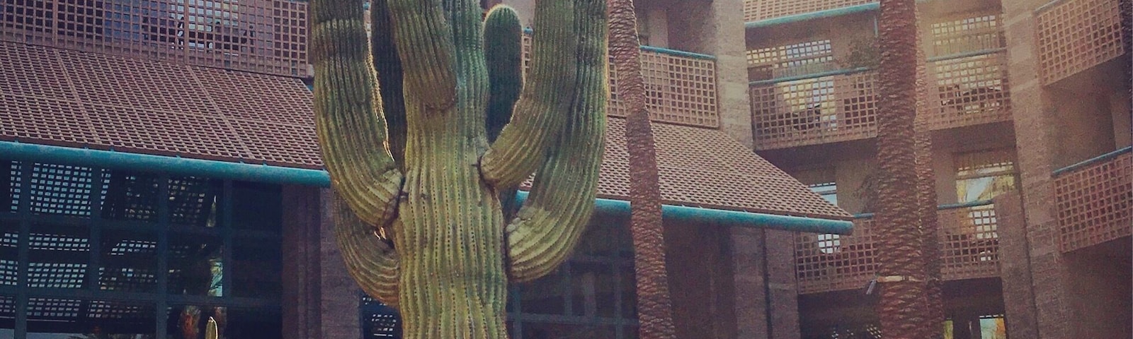 Beautiful resort with pools for adults only and pools if you have children, lots of activities for everyone. Fun nightlife nearby and many restaurants to choose from. Stop and enjoy the cactus.