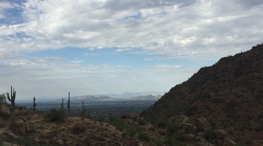Exploring all that Phoenix has to offer on a rare day off as an intern #adventure