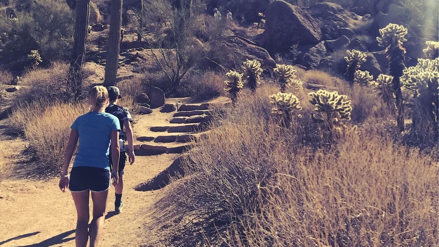It’s a dry heat, but it’s still hot. Make sure to get started early enough in the day and drink plenty of water if you plan on hiking in the desert. #desert