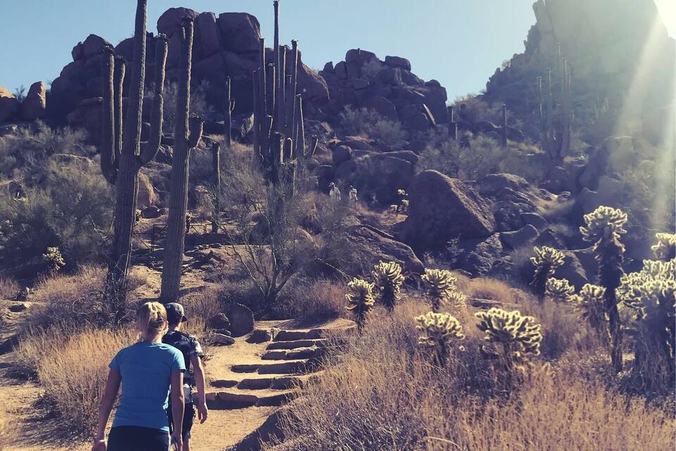 A desert landscape with a dirt path, cacti, and rocky formations under a clear sky.