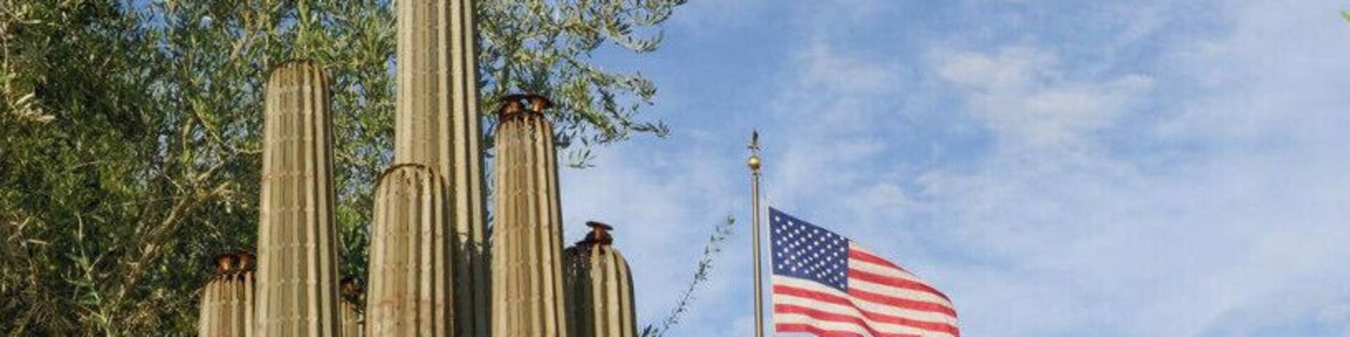 A large saguaro cactus with two flags, one of the United States and one of Arizona, in a desert landscape.