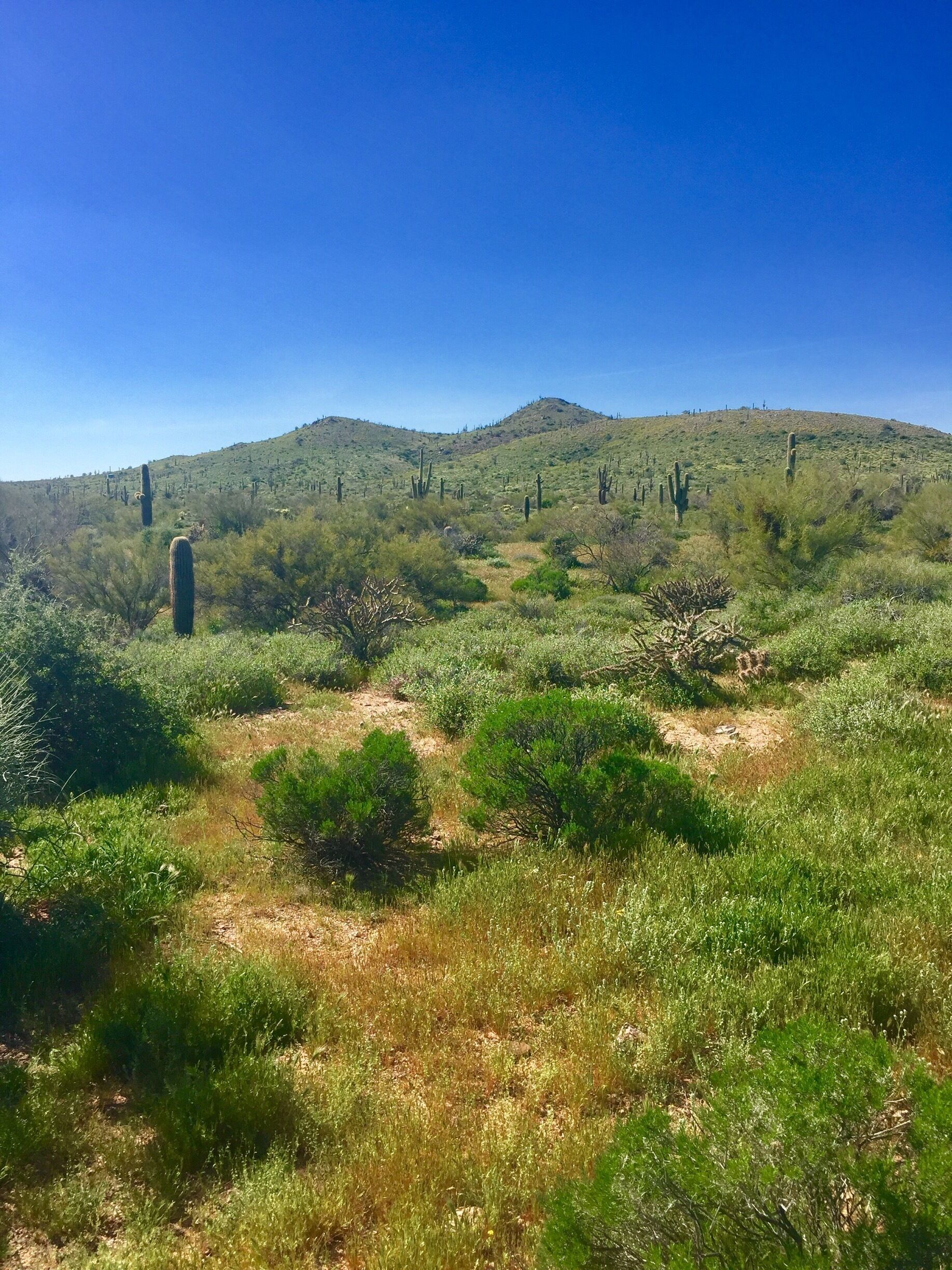 Spring at the trail head 